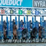 2026 Withers Stakes at a Glance